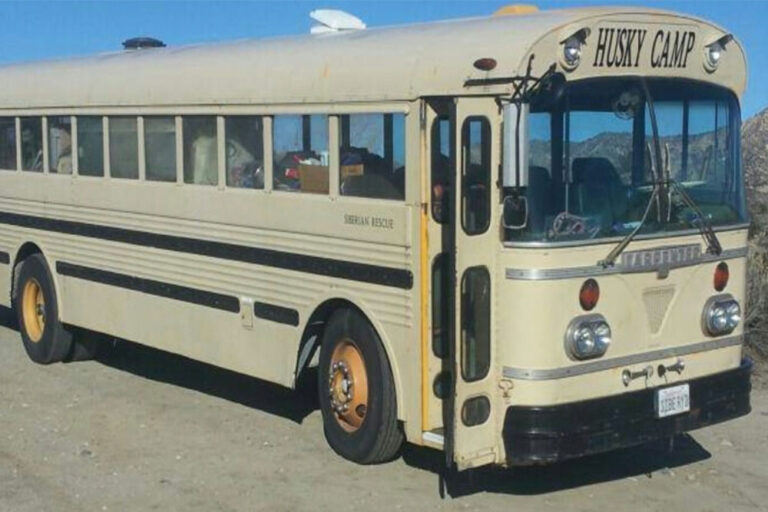 You Just Bought A Yellow School | Bus Conversion Magazine photo