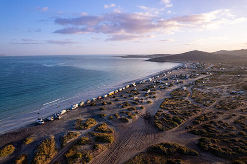 Buses, Vans, and Nomads in Baja! Escapar a la Baja, Cuatro - bus conversion photo