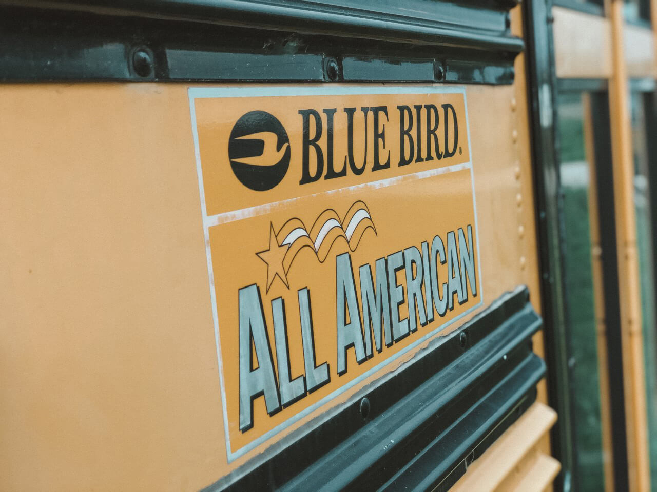 The Roaming Fowler Bus A 2004 Blue Bird All-American - bus conversion photo