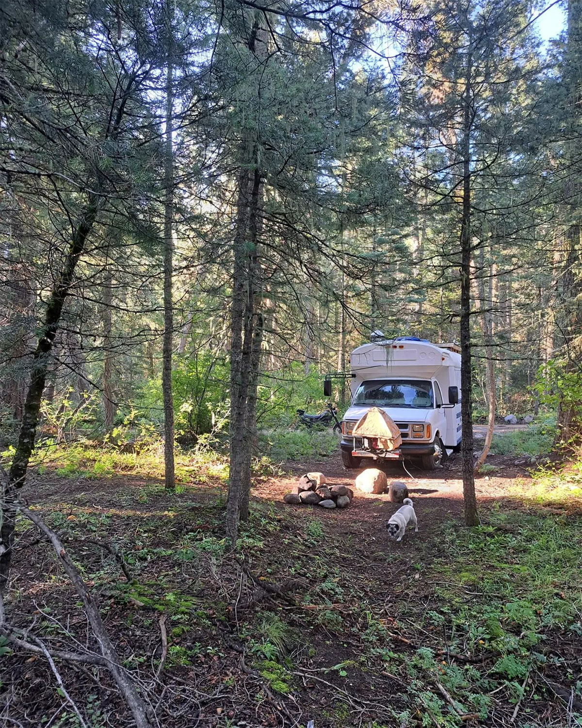 Budd the Bus – A 2001 Chevy Express 3500 Skoolie - bus conversion photo