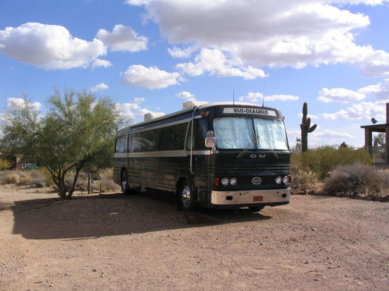 Bus-osaurus | Bus Conversion Magazine photo