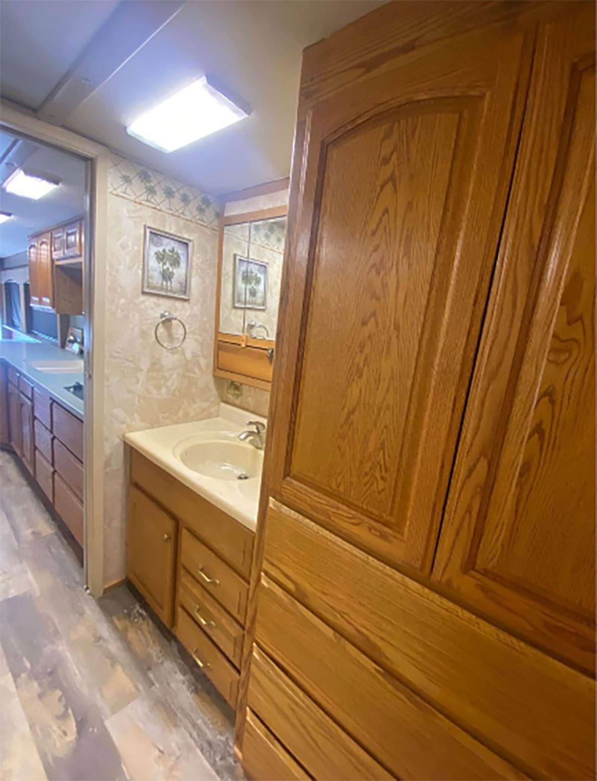 The bathroom vanity.