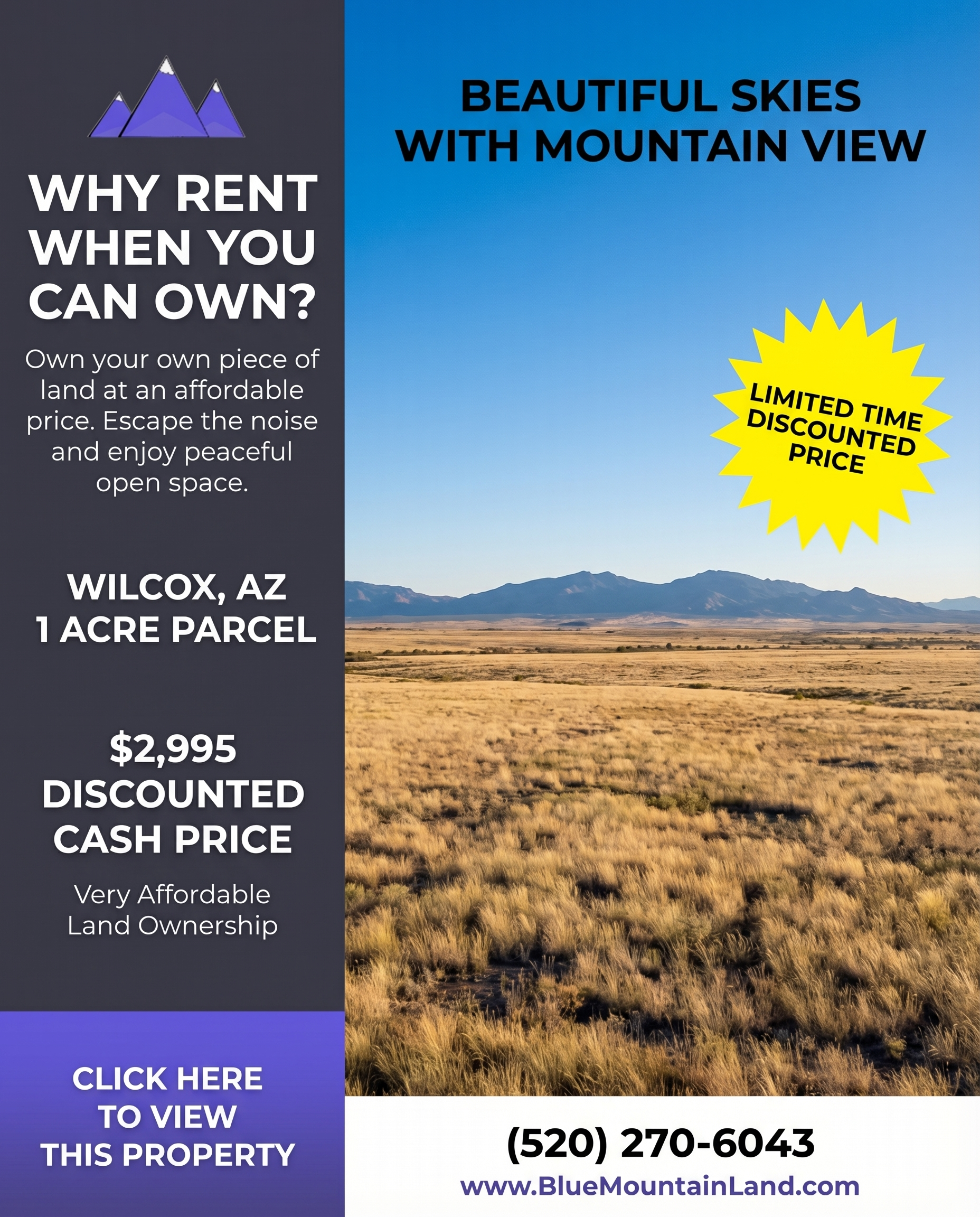 Blue Mountain Full page AD