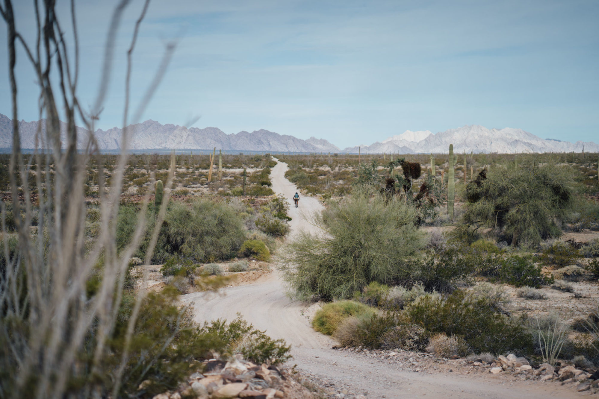 El Camino del Diablo (the Devil’s Highway)