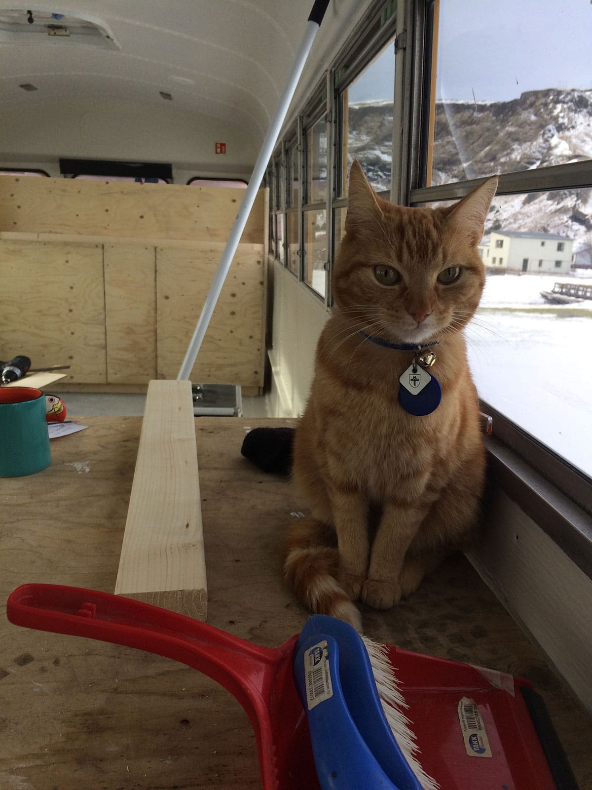 Jeffrey helping me build the benches