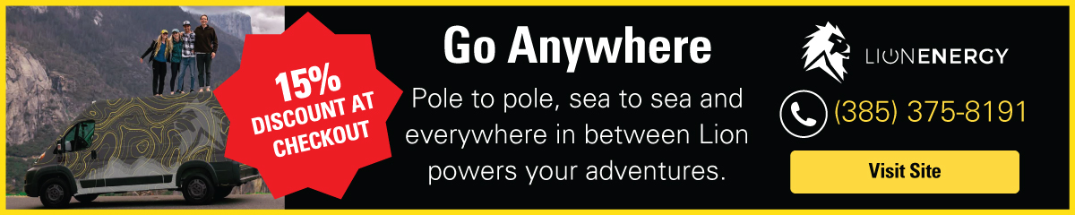 Lion Energy Banner Ads