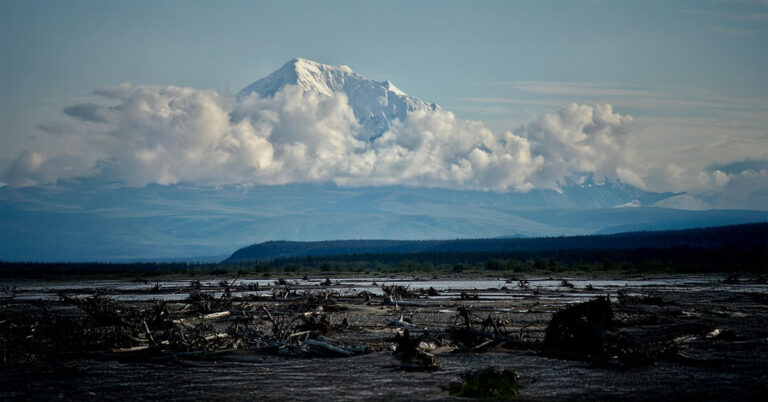 New Hampshire To Alaska In My | Bus Conversion Magazine photo