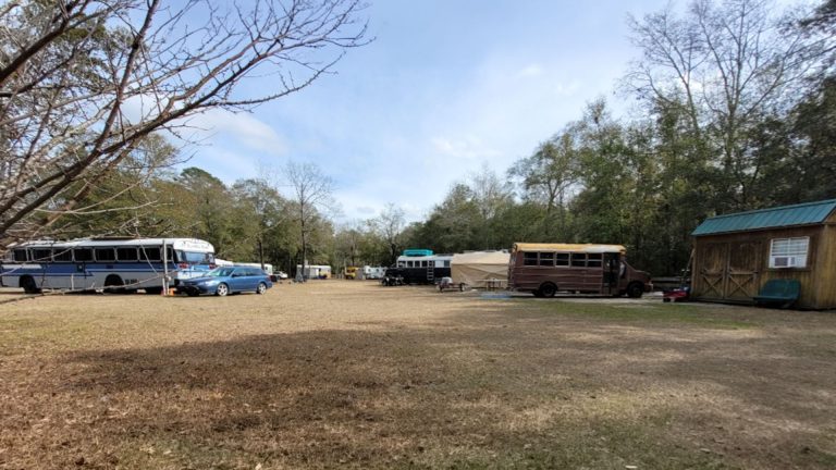 Skoolie Homestead Community | Bus Conversion Magazine photo