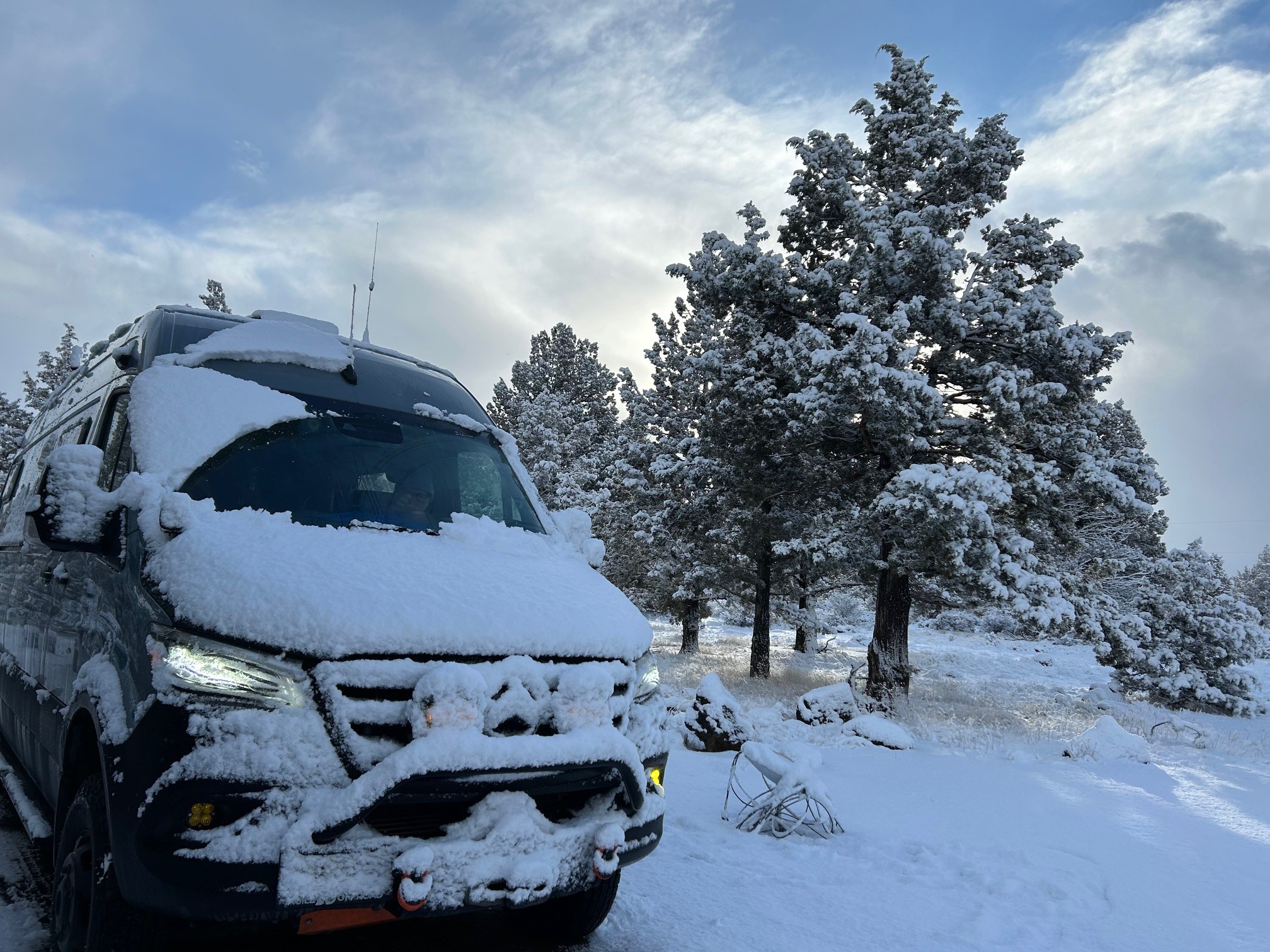 Elvie in the snow near Sisters, OR