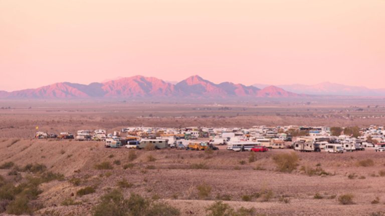 The Rise Of Vanlife And Buslife | Bus Conversion Magazine photo